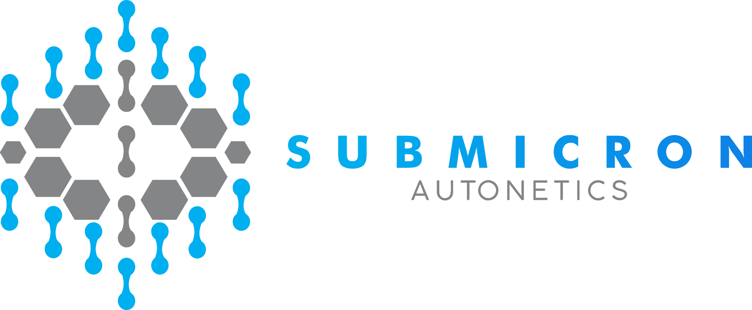 Submicron Store